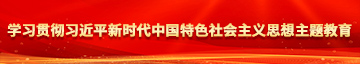 日小骚逼逼小电影学习贯彻习近平新时代中国特色社会主义思想主题教育