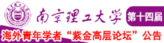 亲逼爽南京理工大学第十四届海外青年学者紫金论坛诚邀海内外英才！